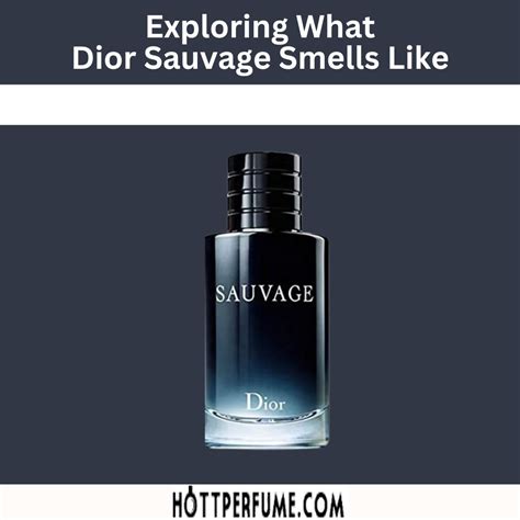 dior sauvage feel unique|Dior Sauvage smells like.